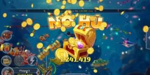 Giới Thiệu Về Nohu88