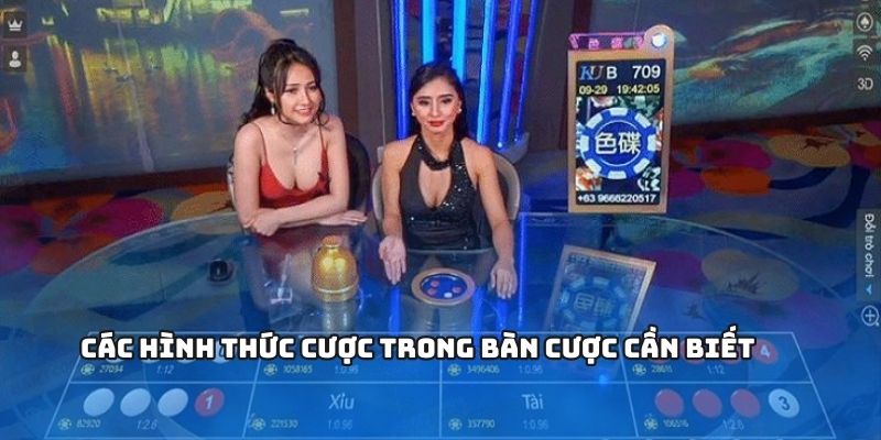 Cách Thực Hiện Xóc Đĩa